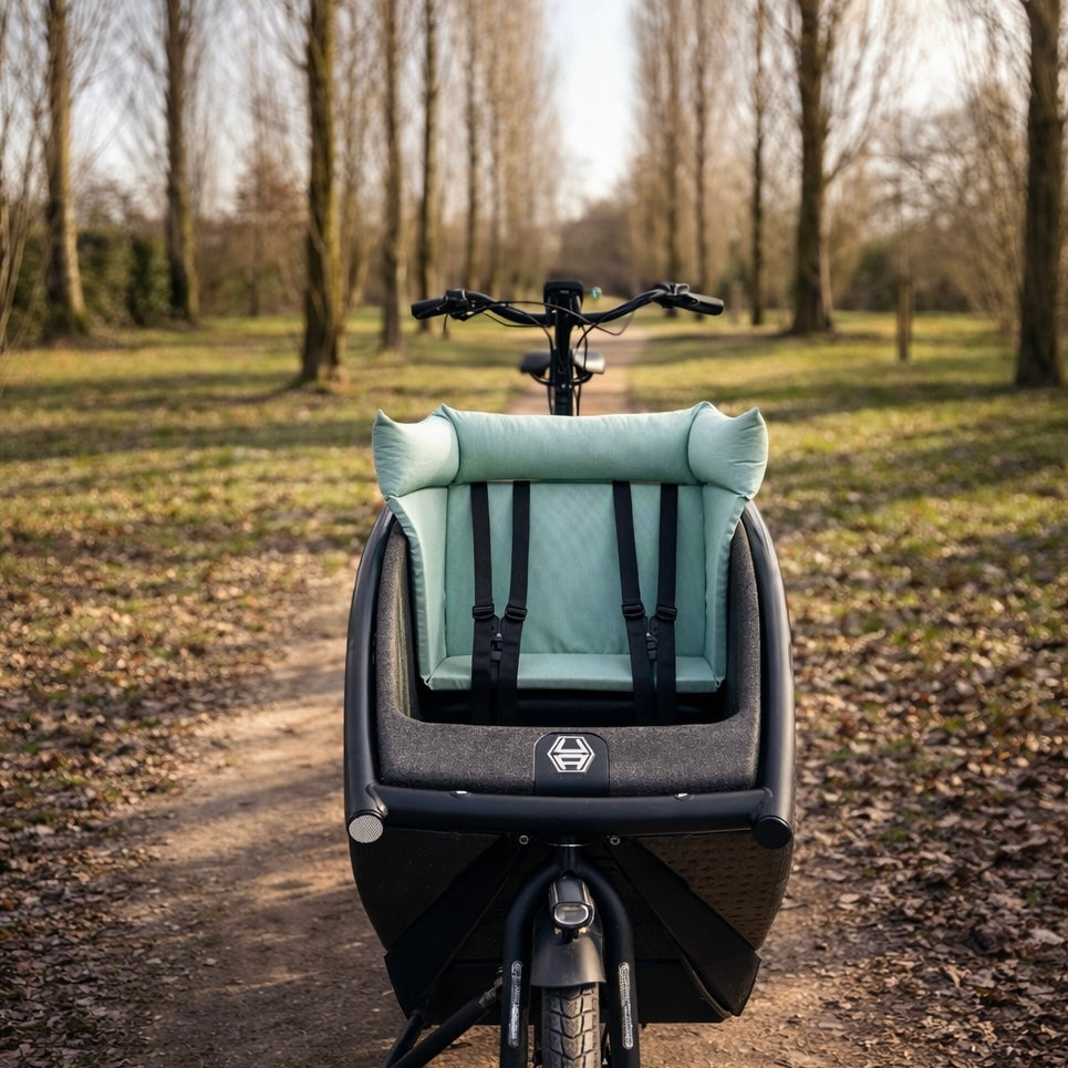 Cargo bike pillow Urban Arrow - Mint green